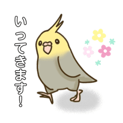 かわいい インコのイラストスタンプ Line スタンプ Line Store かわいい インコのイラストスタンプ Line スタンプ Line Store