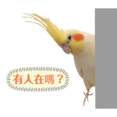 玄鳳日記