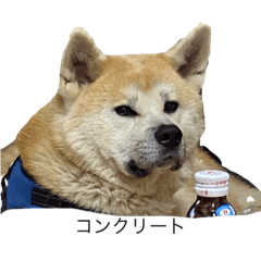 honey_20210710161642