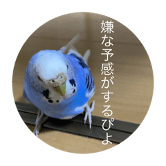 Emily_20210710221556