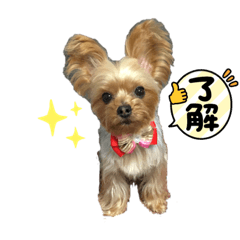 kuu_20210711043949