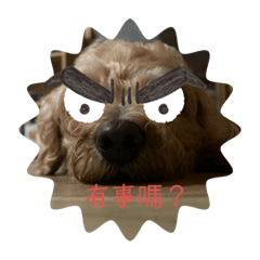 口愛奶茶