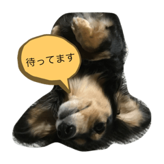 chibi_20210710215436