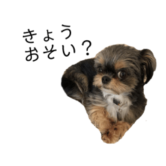 saori_20210710223649