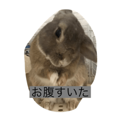 Ace_20210711110550