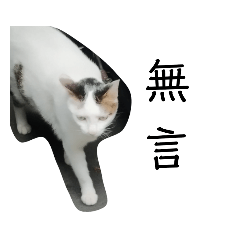 男生貼圖