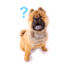 チャウチャウのリロ Line スタンプ Line Store