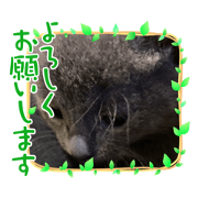 Harutan_20210711135311
