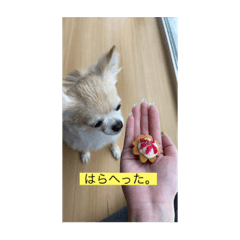 chibi_20210711103132