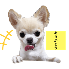 chibi_20210711104225