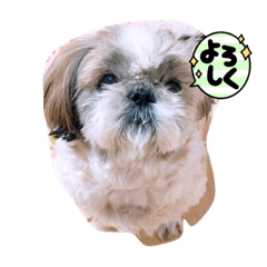 tomomi_20210711110243