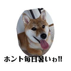 Hana_20210711145134