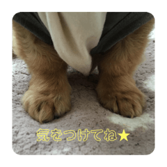 arisa_20210711130658