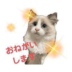 tori_20210711151246