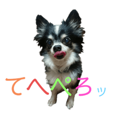 Tacchan_20210711141250