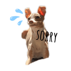 B.G.R.