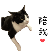 The life of Sweety and Nini.