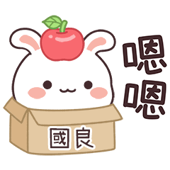 嬌嬌兔姓名貼_國良專用