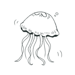 It is a jellyfish