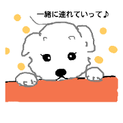 cute little dog . cute little dog .