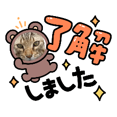 nyanko_20210711171220