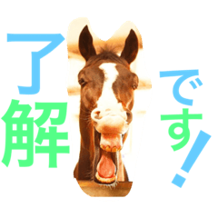 Keigo no Uma Stamp
