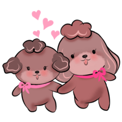 Sweet poodle sisters