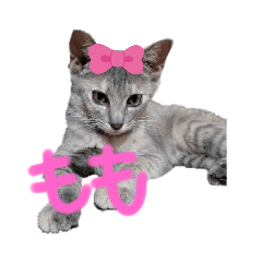 michimomo