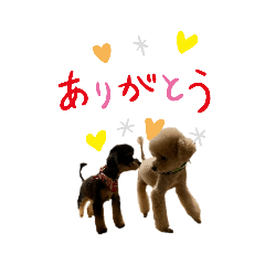 kaori_20210712004510