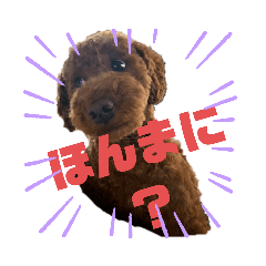 saya_20210712022624