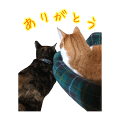 Hana_20210711215415
