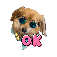 cocoa_20210711210736