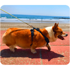 Tetsu_20210711220509