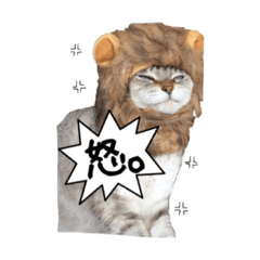Hanyako  stamp