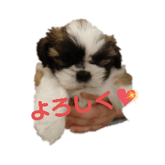 ann_20210711195037