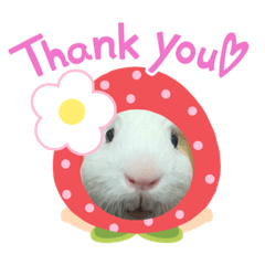 natsumi_20210711175950