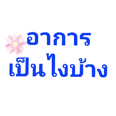 samatchaya phogaew_20210711152539