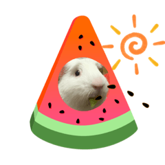 natsumi_20210711174355