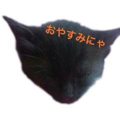 キモかわネコの冬の日常 灰トラ猫 Lineクリエイターズスタンプ Stamplist