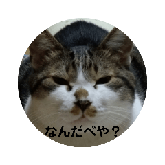 mimi_20210712014929