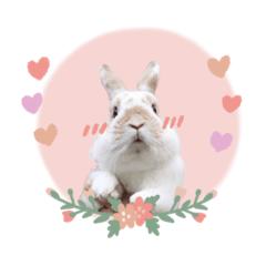 うさぎのバムの毎日スタンプ