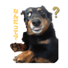 kero_20210712132511