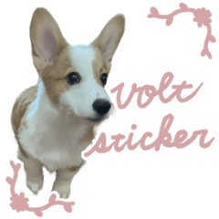 VOLT Sticker