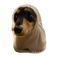 arisa_20210712141048