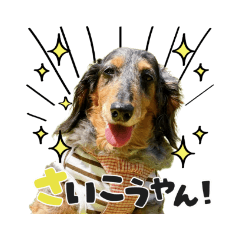 cherry_20210712145911