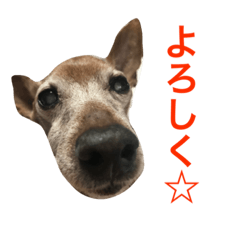 choko3