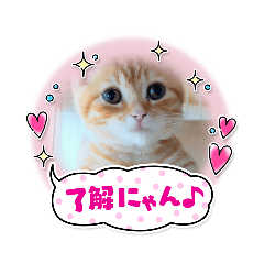 rei_20210712174433