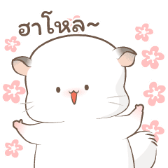 Simao & Bamao ชินชิลลานุ่มนิ่ม 3