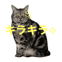 mitsuki_20210712173806