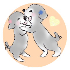 Boy&girl poodle sticker